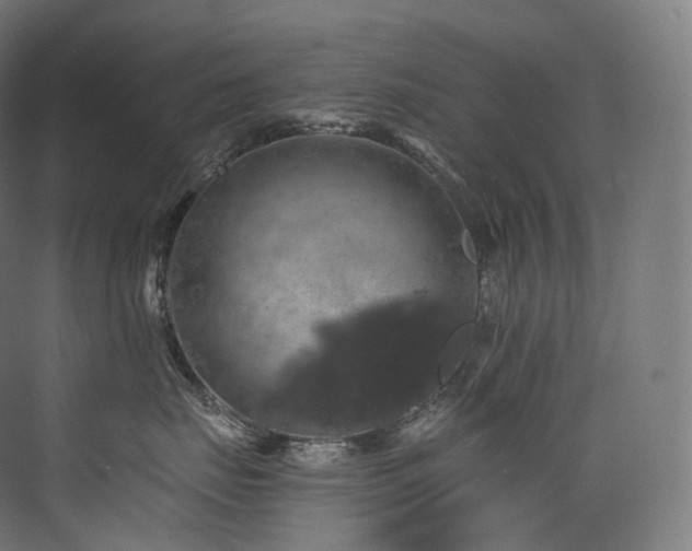 X0000074040671200608211520