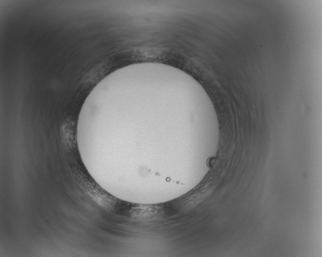 X0000074040672200608211520