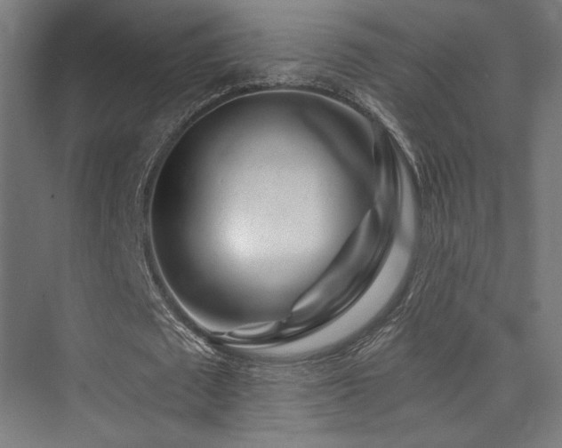 X0000074040673200608211519