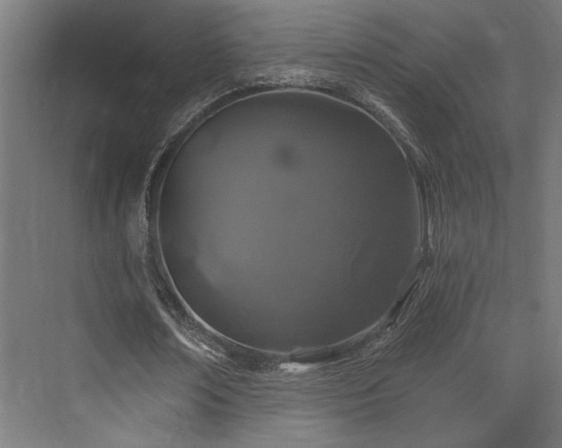 X0000074040674200608211519