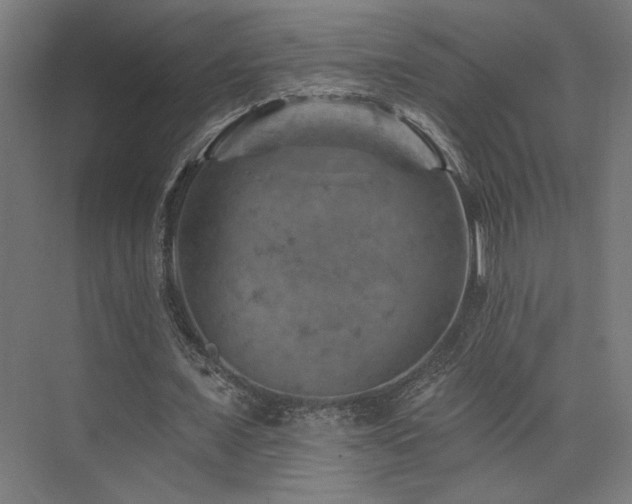 X0000074040675200608211519