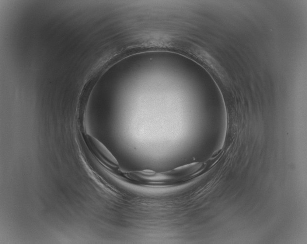 X0000074040677200608211519