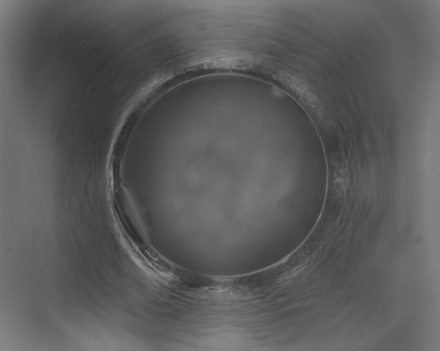 X0000074040678200608211519