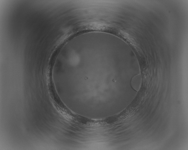 X0000074040679200608211519