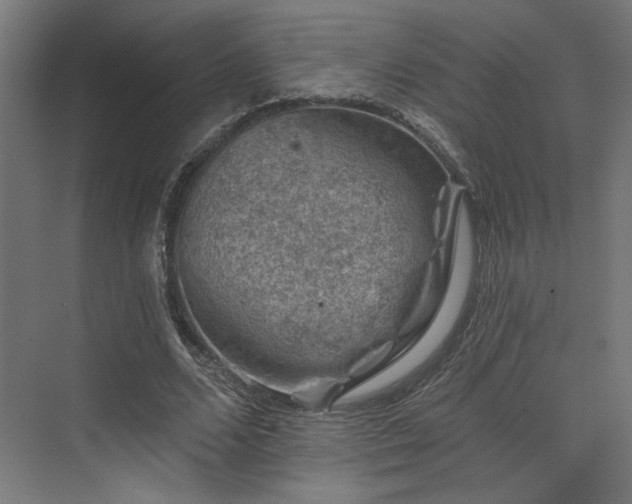 X0000074040680200608211519