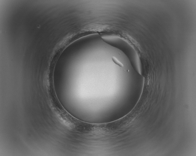 X0000074040682200608211519