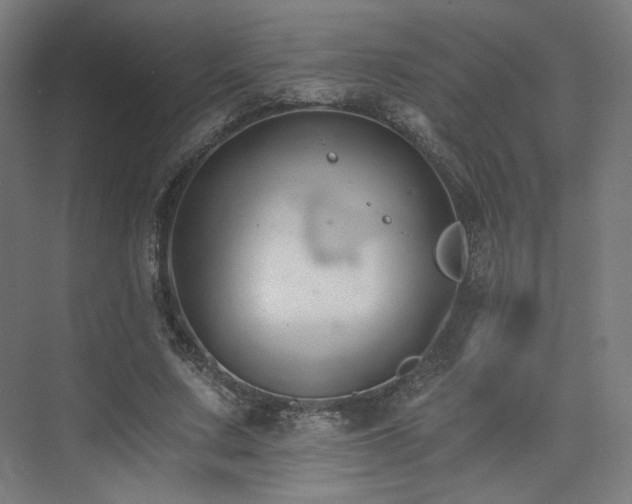 X0000074040683200608211519