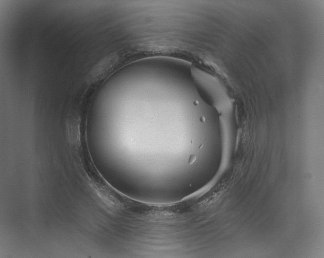 X0000074040685200608211519