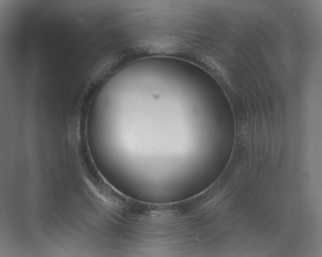 X0000074040686200608211519