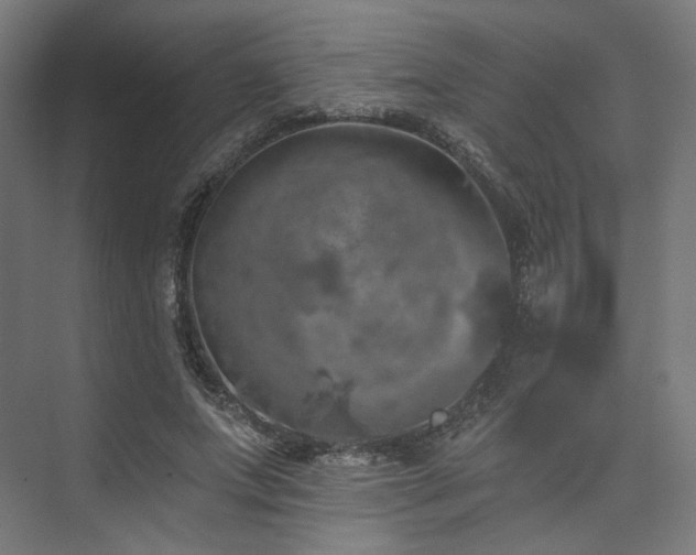 X0000074040687200608211519