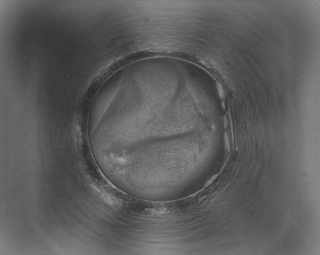 X0000074040688200608211519