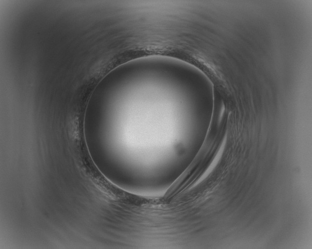 X0000074040689200608211519