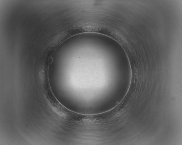 X0000074040690200608211519