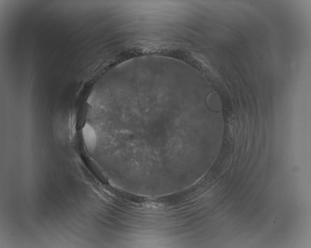 X0000074040691200608211519