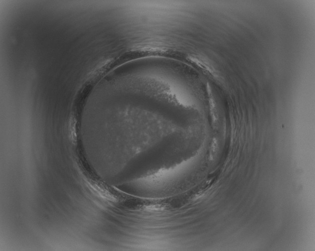 X0000074040692200608211519