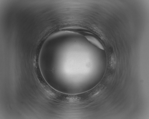 X0000074040693200608211519