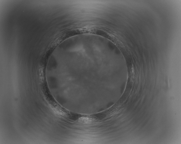 X0000074040699200608211519