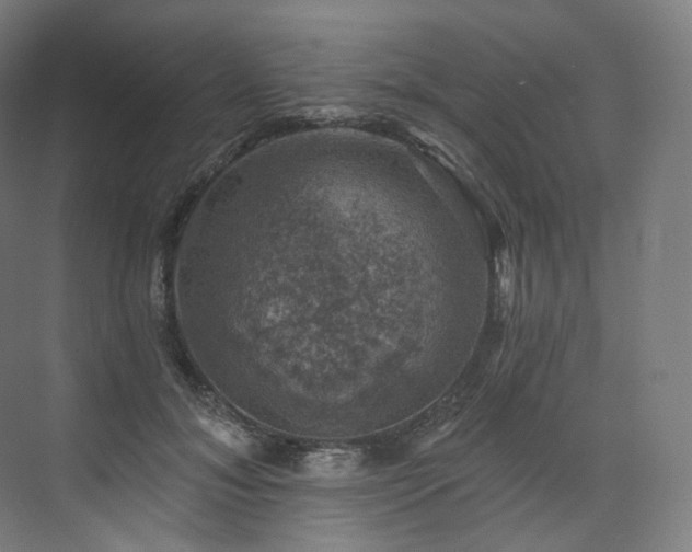 X0000074040700200608211519