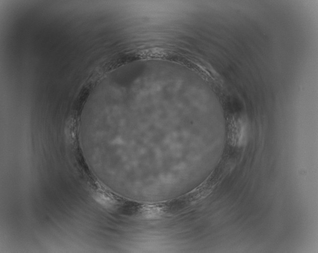 X0000074040701200608211519