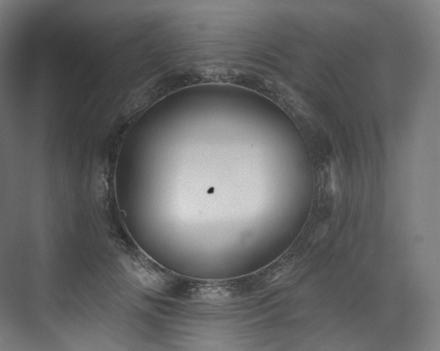 X0000074040702200608211519