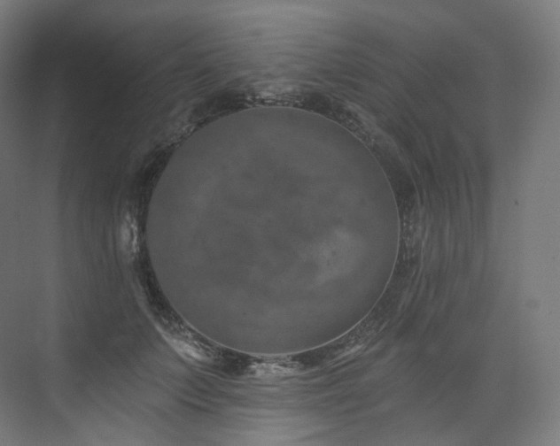 X0000074040703200608211519