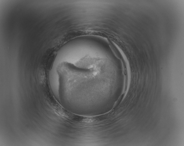 X0000074040704200608211519