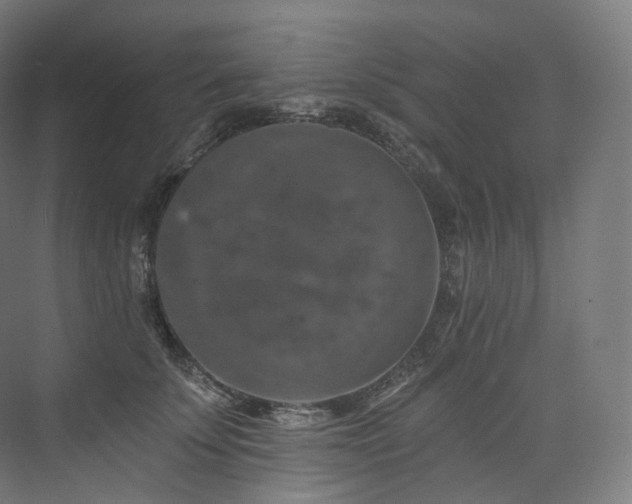 X0000074040707200608211519