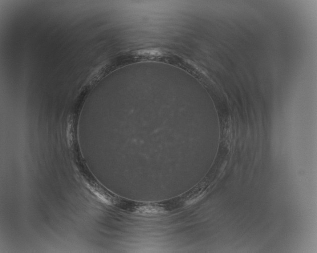 X0000074040708200608211519