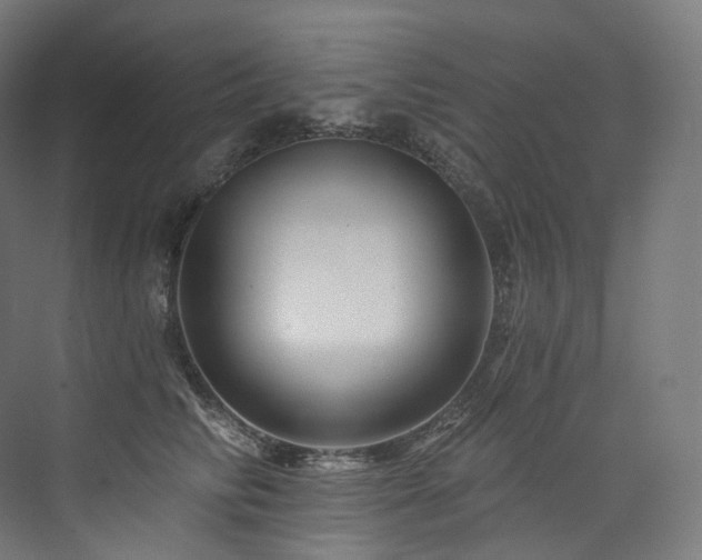 X0000074040710200608211518