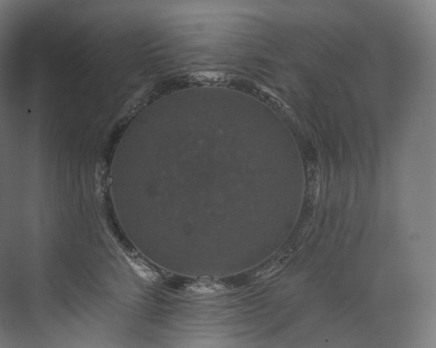 X0000074040712200608211518