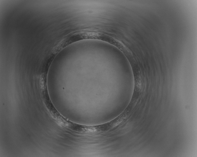 X0000074040715200608211518