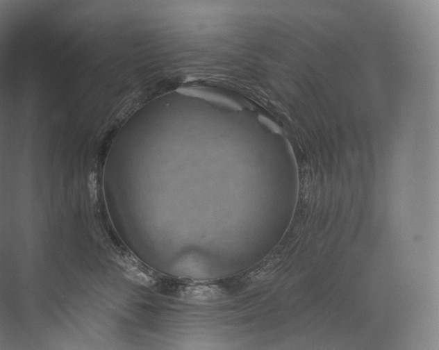 X0000074040716200608211518