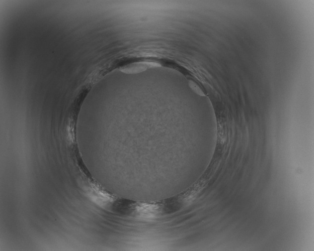 X0000074040718200608211518