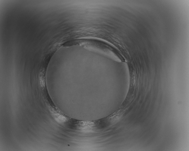 X0000074040719200608211518