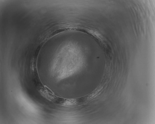 X0000074040720200608211518