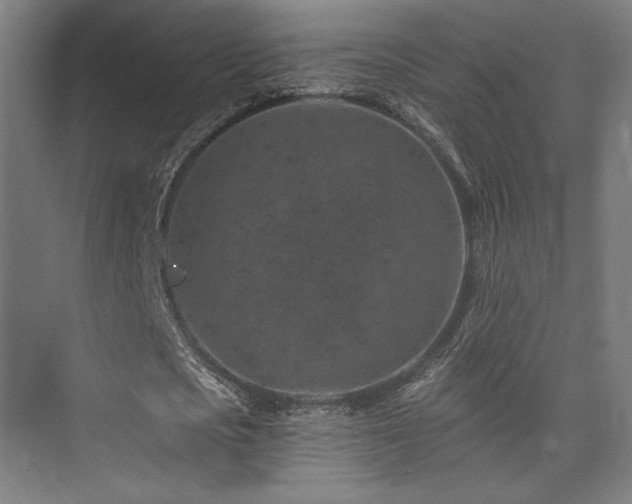 X0000074040721200608211518