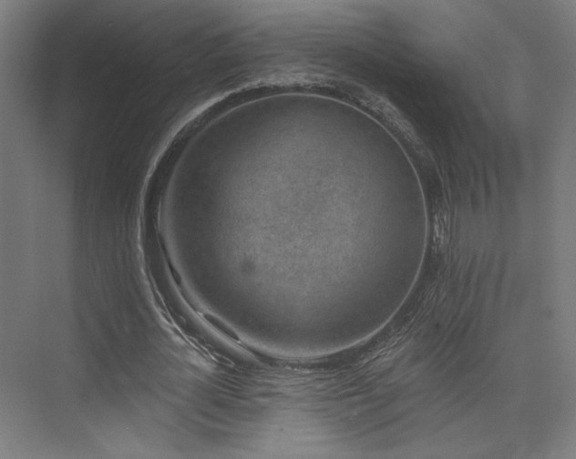 X0000074040724200608211518