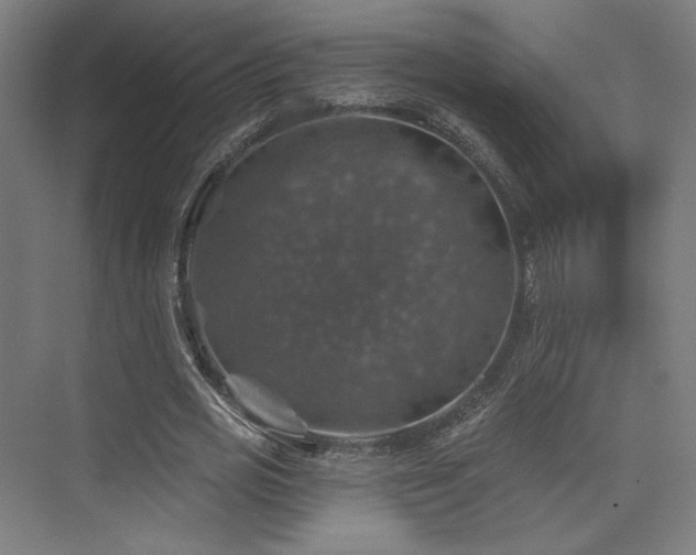 X0000074040725200608211518