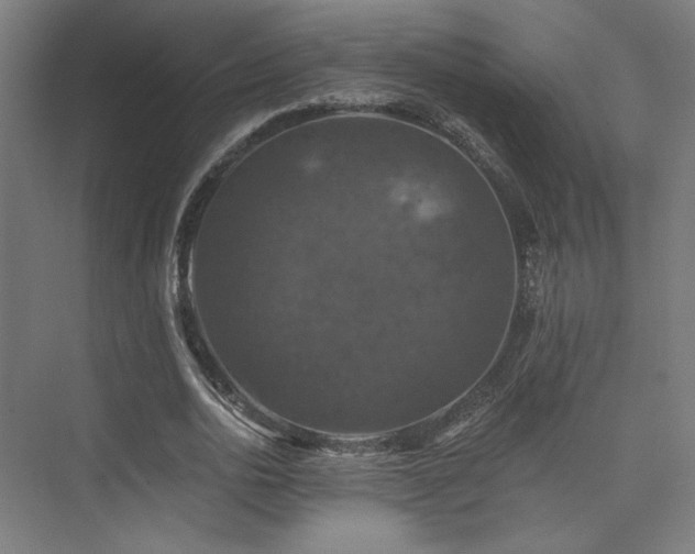 X0000074040726200608211518