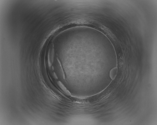 X0000074040727200608211518