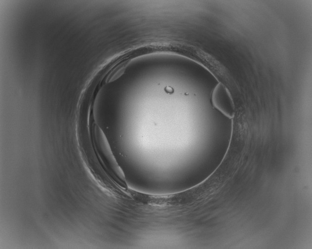 X0000074040728200608211518