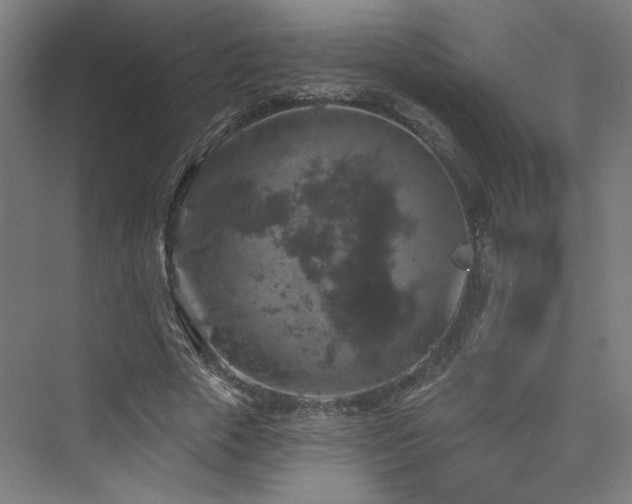 X0000074040729200608211518