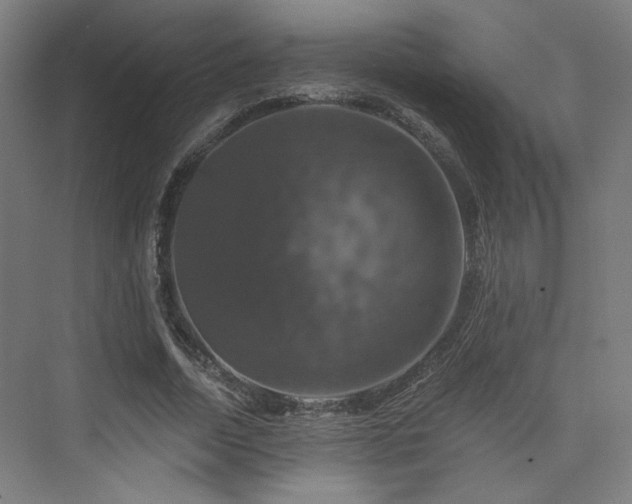 X0000074040730200608211518