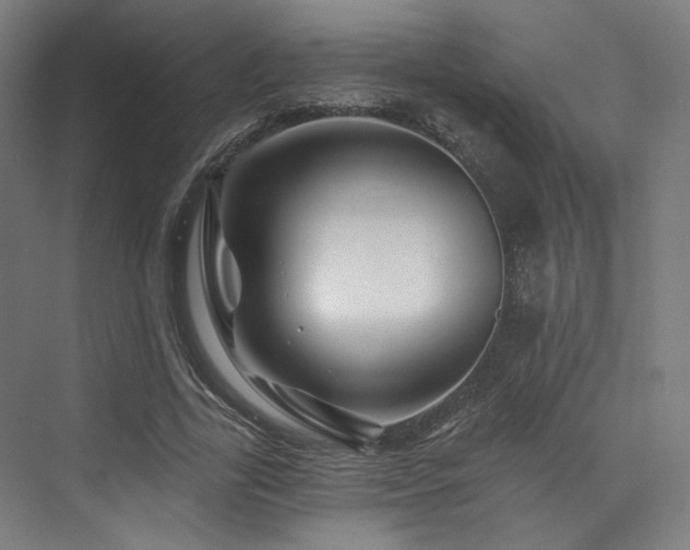 X0000074040731200608211518