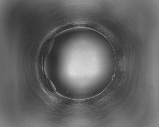 X0000074040732200608211518