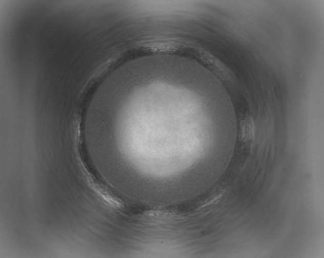 X0000074040733200608211518