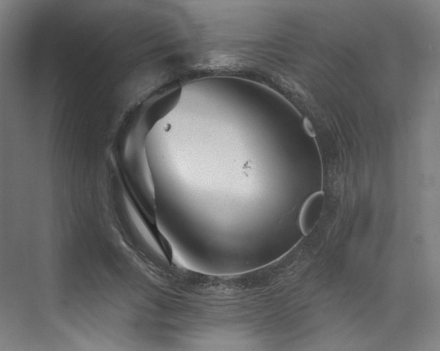 X0000074040735200608211518