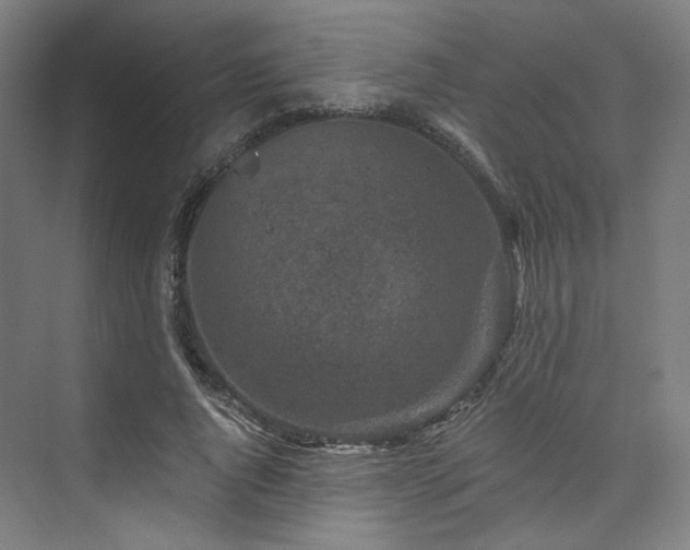 X0000074040736200608211518