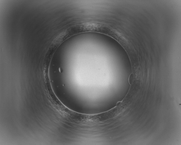 X0000074040737200608211518