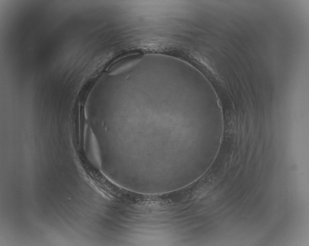 X0000074040738200608211518